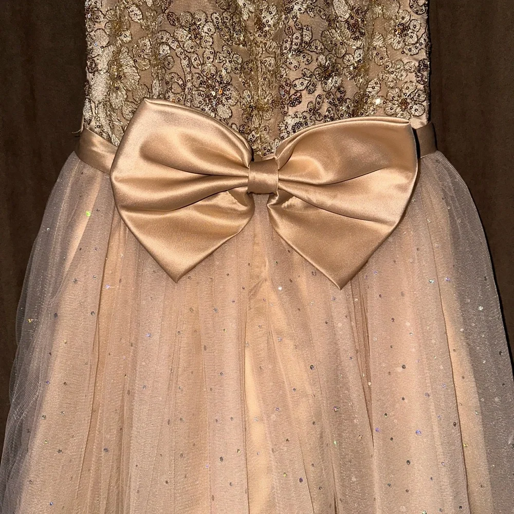 Flower girl dress - Picture 7 of 11